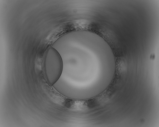 X0000115330709200911161809