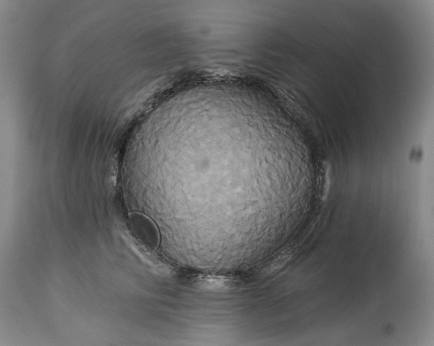 X0000115330710200911161809