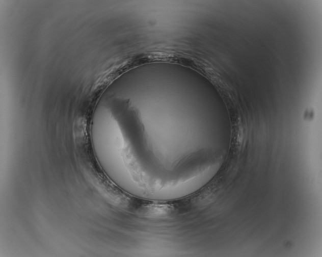 X0000115330711200911161809
