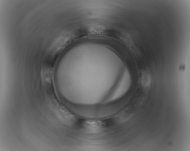 X0000115330712200911161809