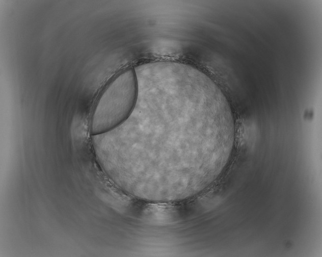 X0000115330713200911161809