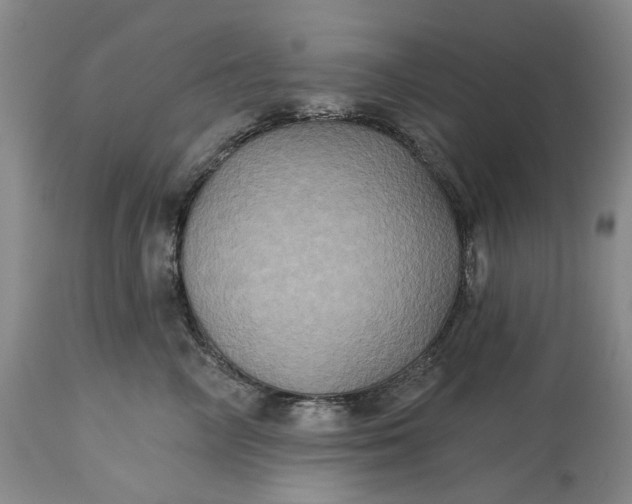 X0000115330714200911161809