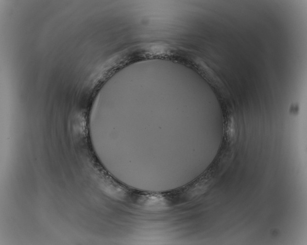 X0000115330715200911161809