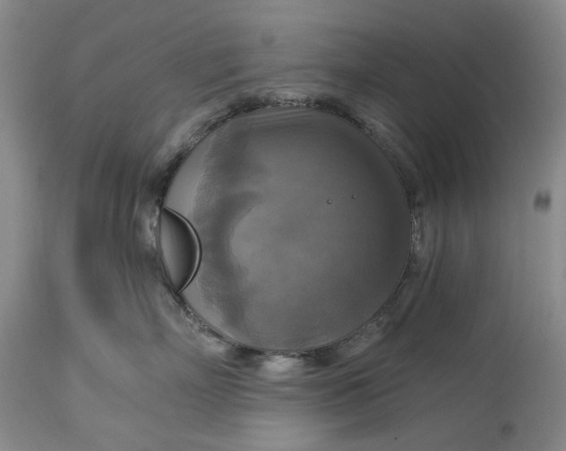X0000115330718200911161809