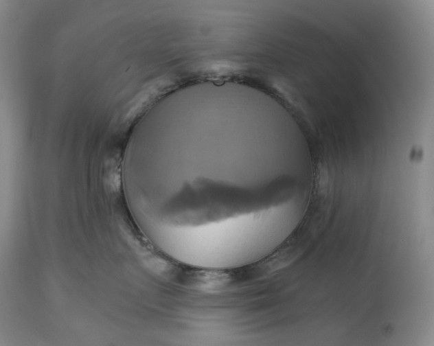 X0000115330719200911161809