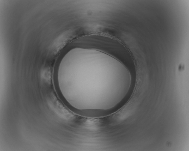 X0000115330720200911161809