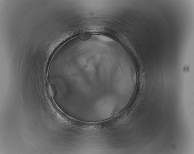 X0000115330721200911161808