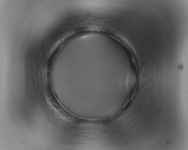 X0000115330722200911161808