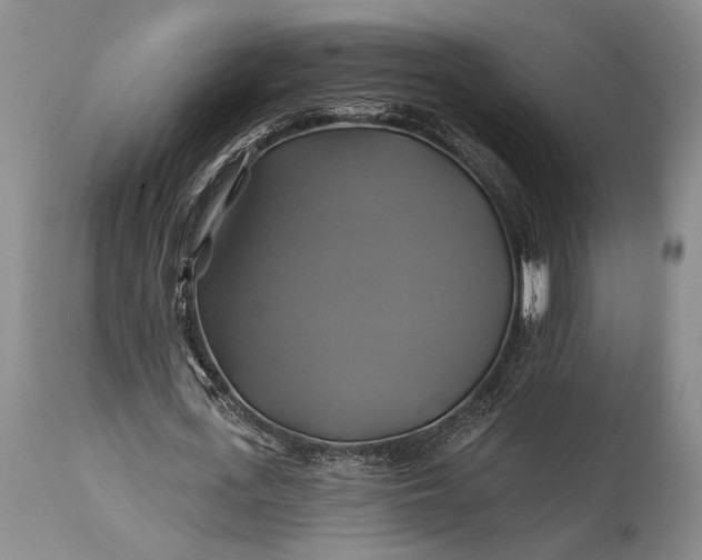 X0000115330723200911161808