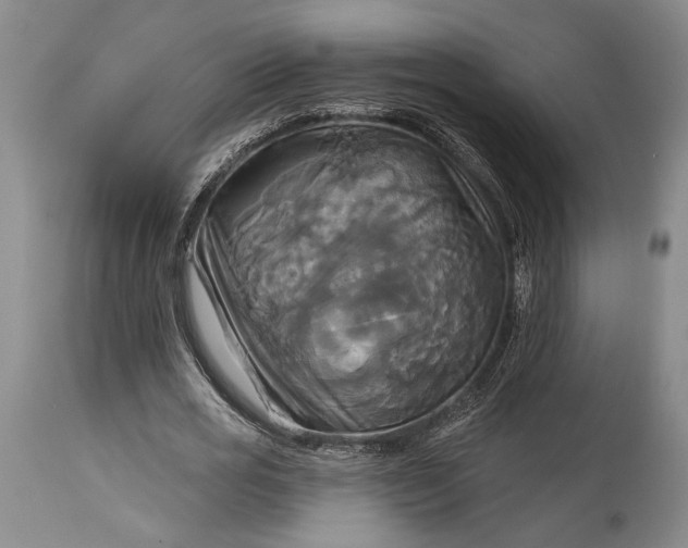 X0000115330725200911161808