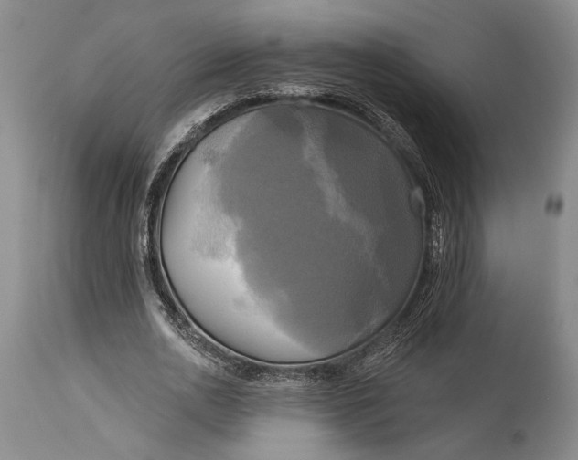 X0000115330726200911161808