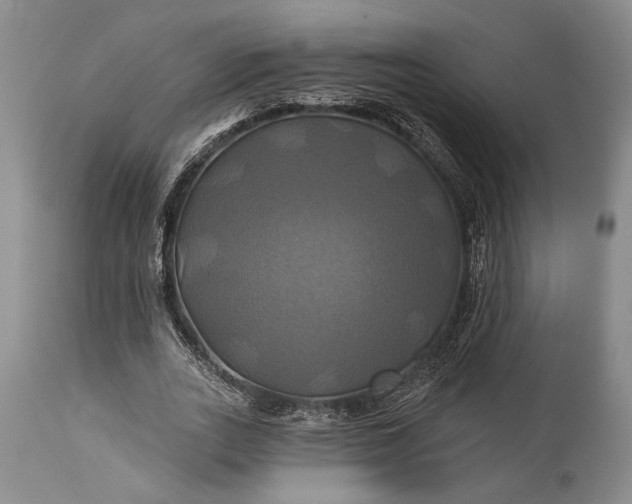 X0000115330727200911161808