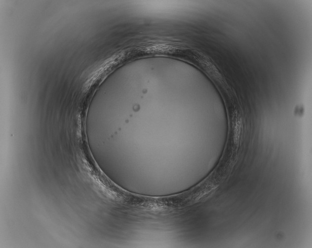 X0000115330729200911161808