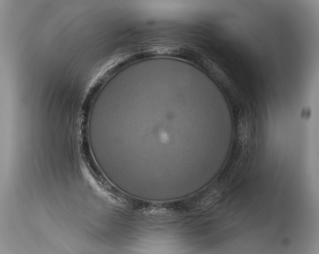 X0000115330730200911161808