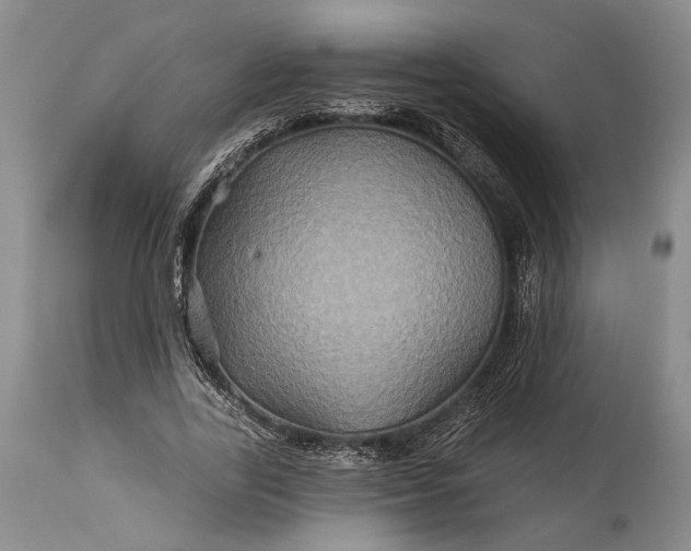 X0000115330731200911161808