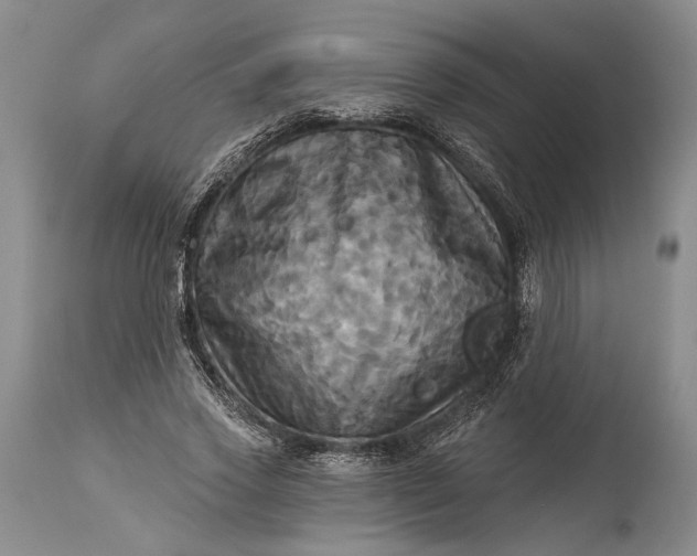 X0000115330733200911161808