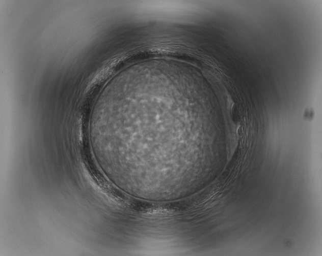 X0000115330734200911161808