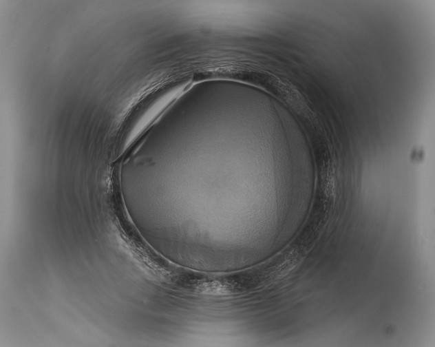 X0000115330735200911161808