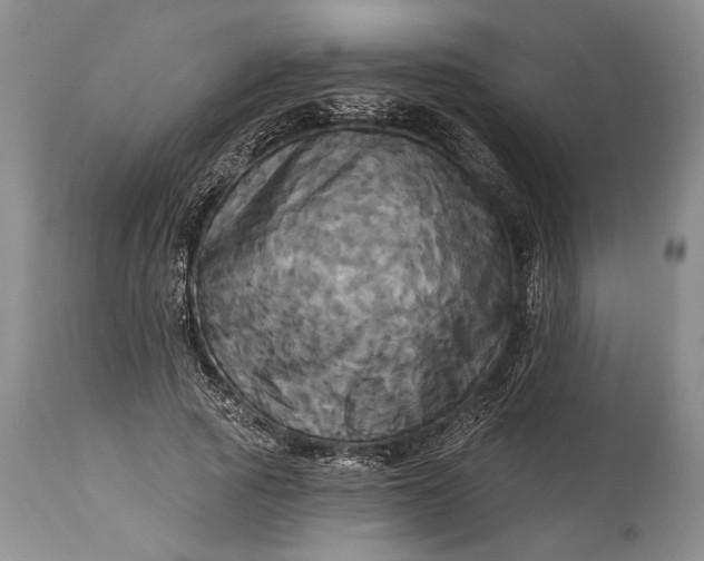 X0000115330737200911161808