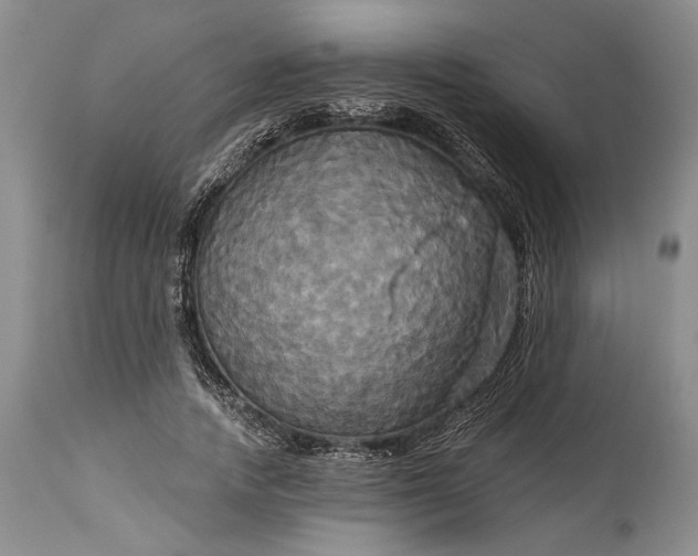 X0000115330738200911161808