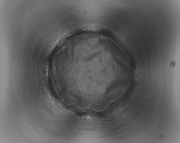 X0000115330739200911161808