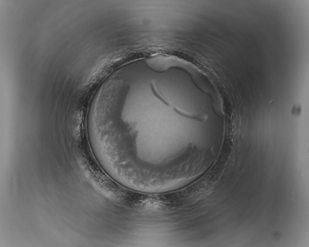 X0000115330742200911161808