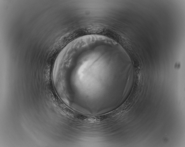 X0000115330745200911161808