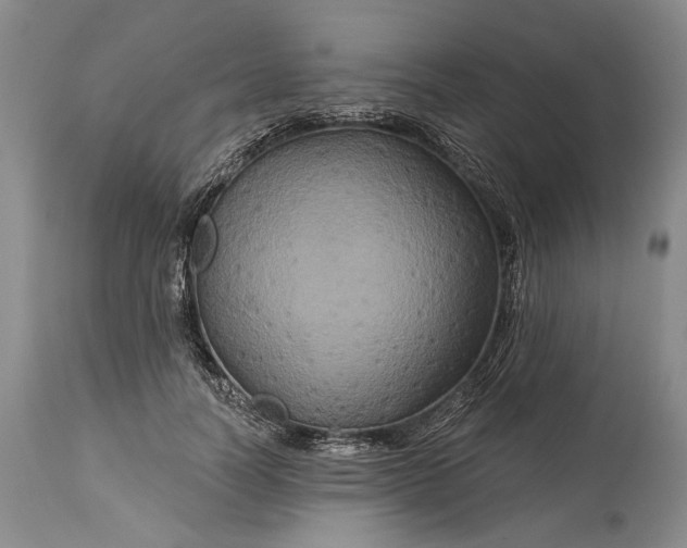 X0000115330746200911161808