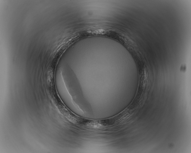 X0000115330747200911161808