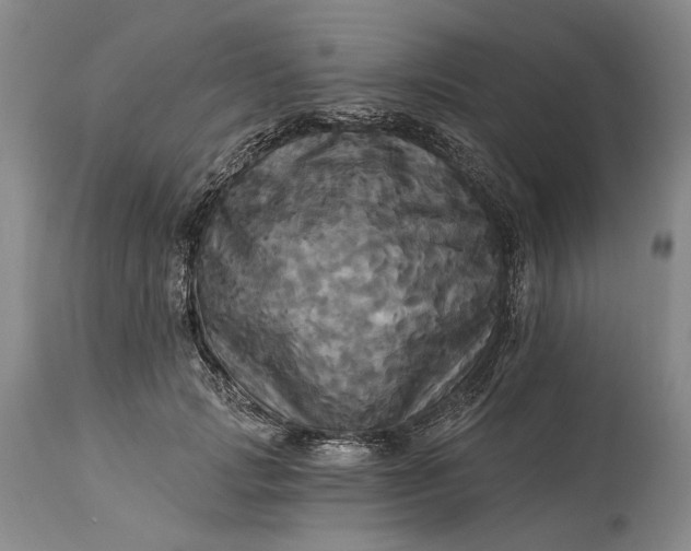 X0000115330749200911161808