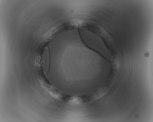 X0000115330750200911161808