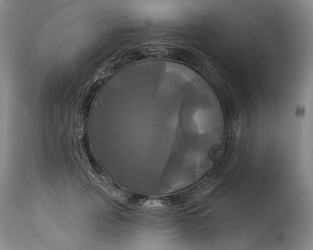 X0000115330751200911161808
