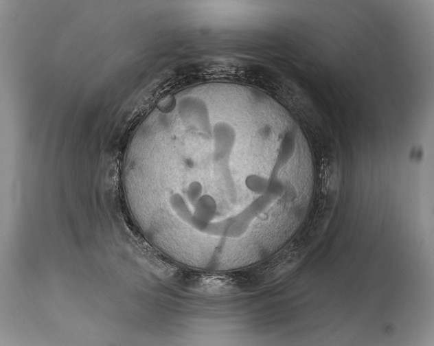 X0000115330753200911161808
