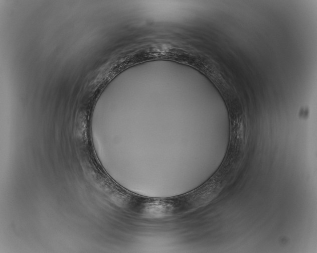 X0000115330754200911161808