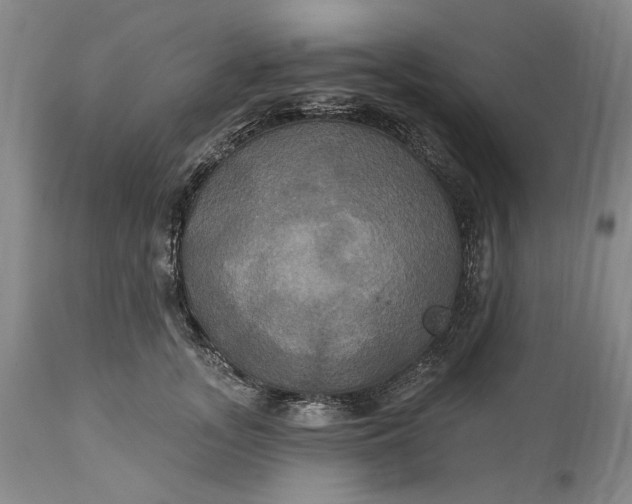 X0000115330755200911161808