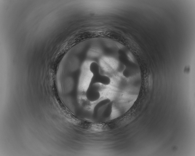 X0000115330757200911161808