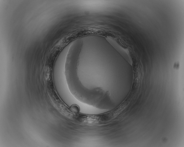 X0000115330758200911161808