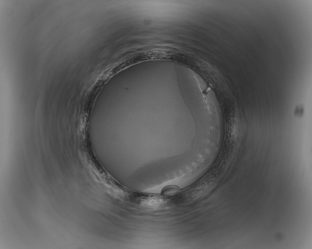 X0000115330759200911161808