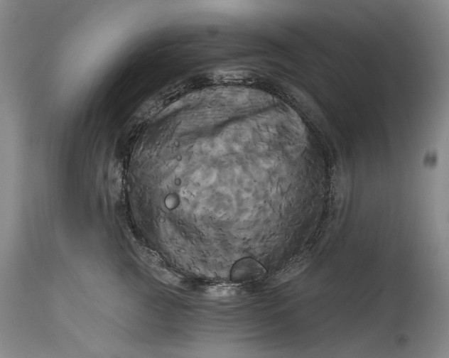 X0000115330761200911161809