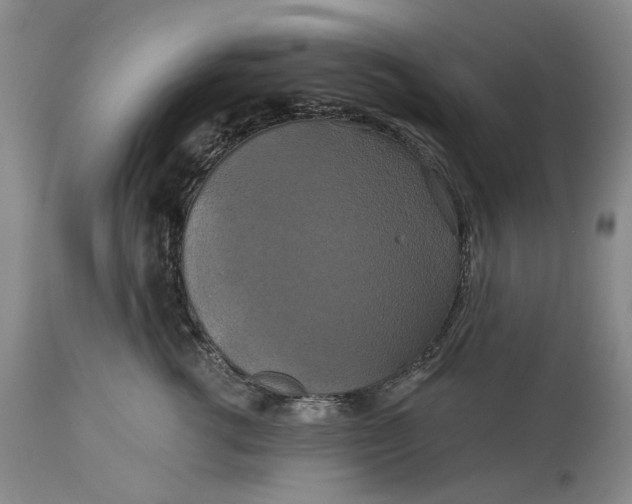 X0000115330762200911161809