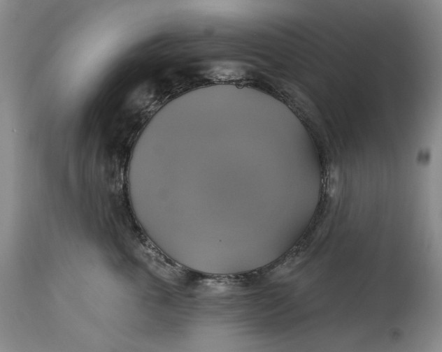 X0000115330763200911161809