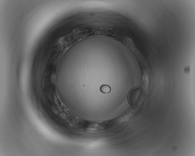 X0000115330765200911161809