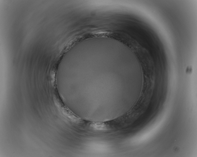 X0000115330767200911161809