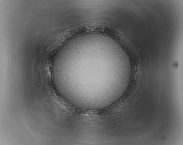 X0000115330770200911161808