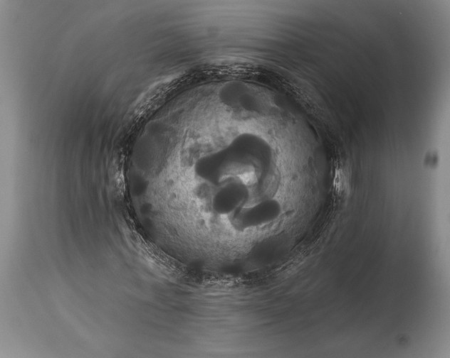 X0000115330771200911161808