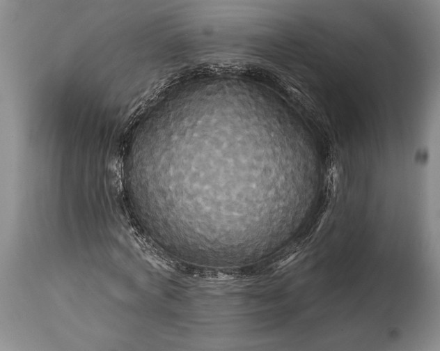 X0000115330772200911161808