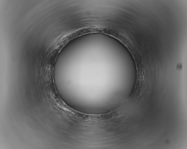 X0000115330773200911161808