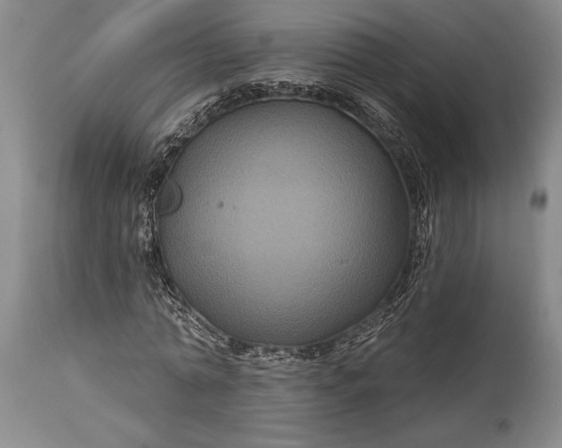 X0000115330774200911161808