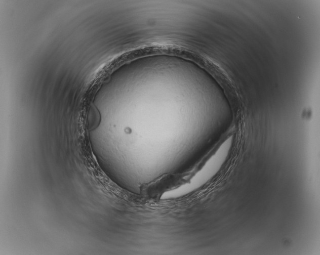 X0000115330776200911161808