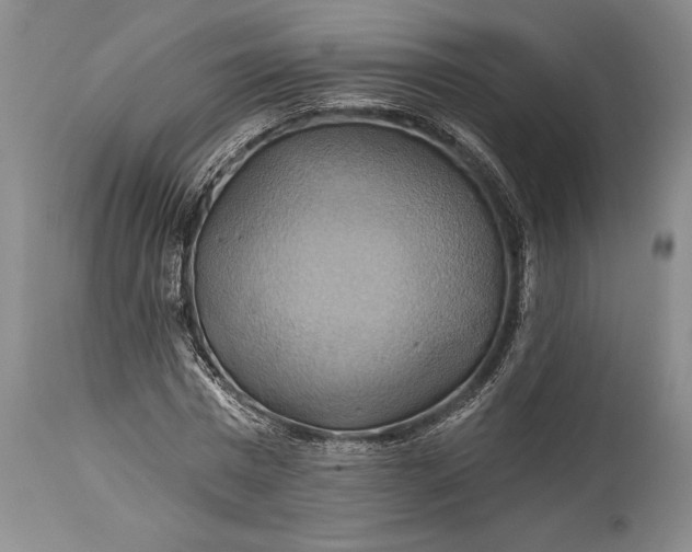 X0000115330777200911161808